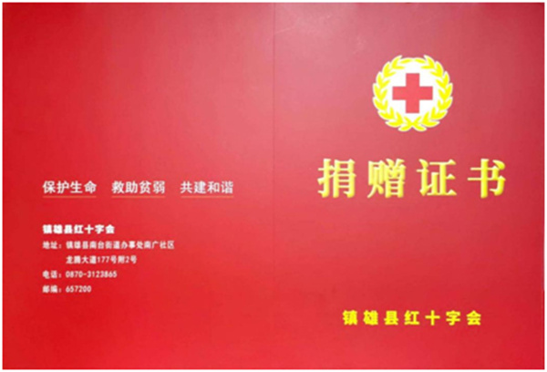 江西省路桥隧道工程有限公司向镇雄县红十字会捐赠人民币56万元